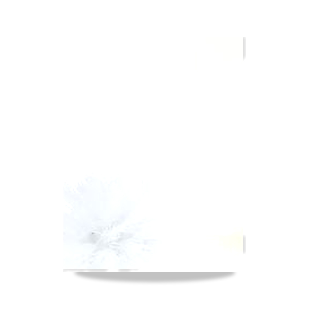 حامل وفرشاة تنظيف مرحاض وكرسي حمام نايلون RS PRO موديل 898-8298 - اللون أبيض