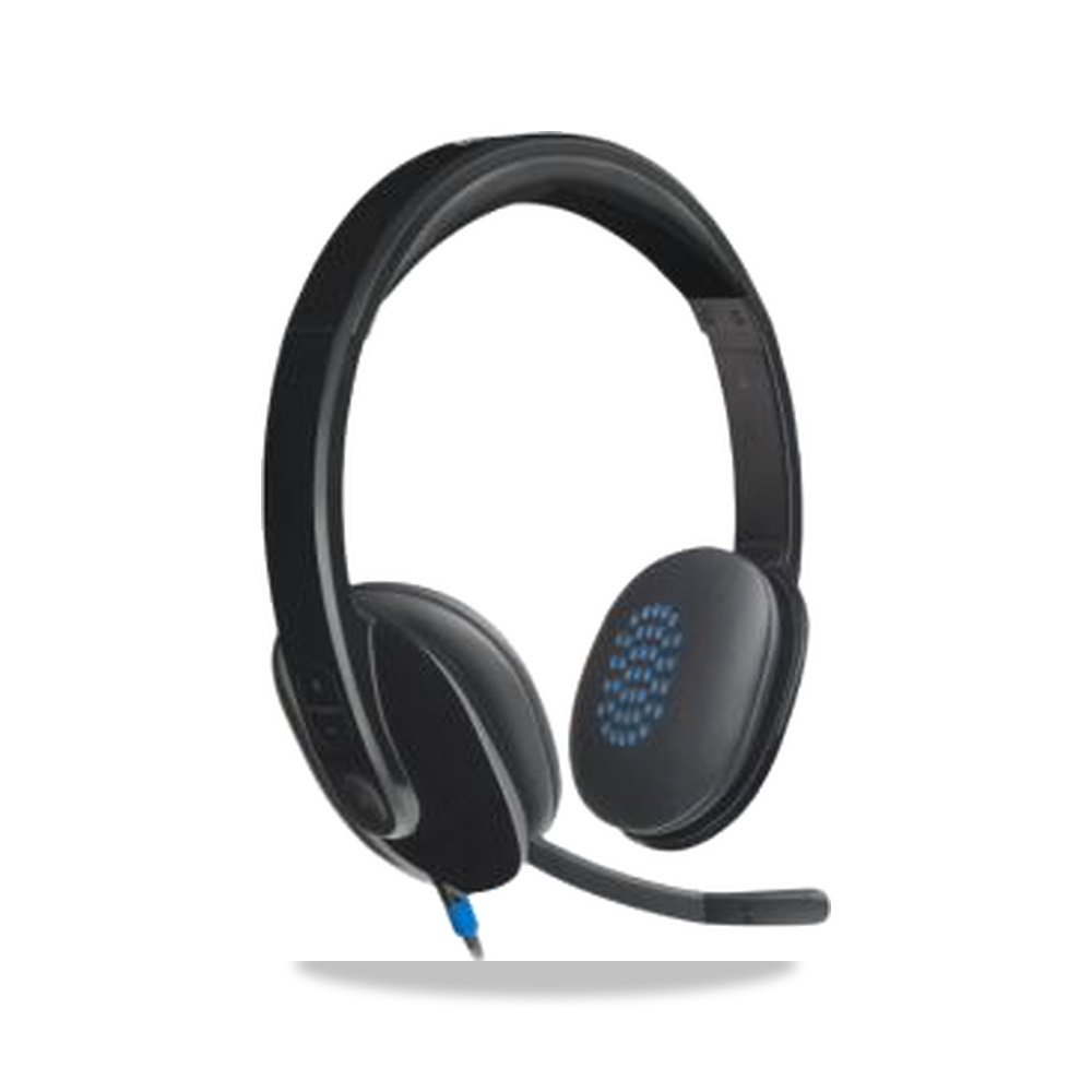 صورة منتج سدادة وواقي أذن للحماية من الضوضاء أسود Logitech موديل 981-000480 – الطول 1.8m - كود الصنف reemco-2027-0022602 - ماركة يباع من خلال reemco - توريد وتصوير حصري لشركة ريمكو القابضة السعودية