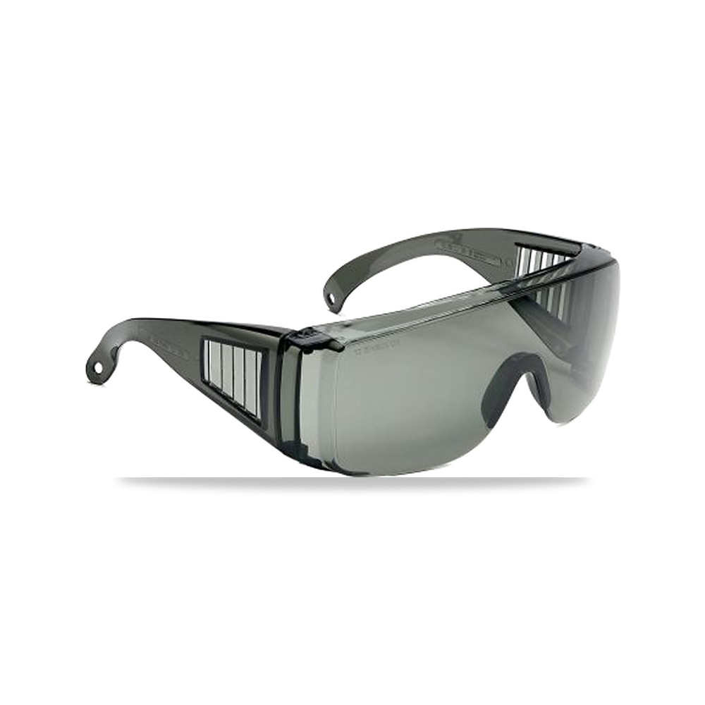 صورة منتج نظارة وقاية وسلامة مهنية أسود بولي كربونات Bolle Safety موديل BL110N20W – اللون Smoked – اللون Translucent Black - كود الصنف reemco-2027-0055104 - ماركة يباع من خلال reemco - توريد وتصوير حصري لشركة ريمكو القابضة السعودية