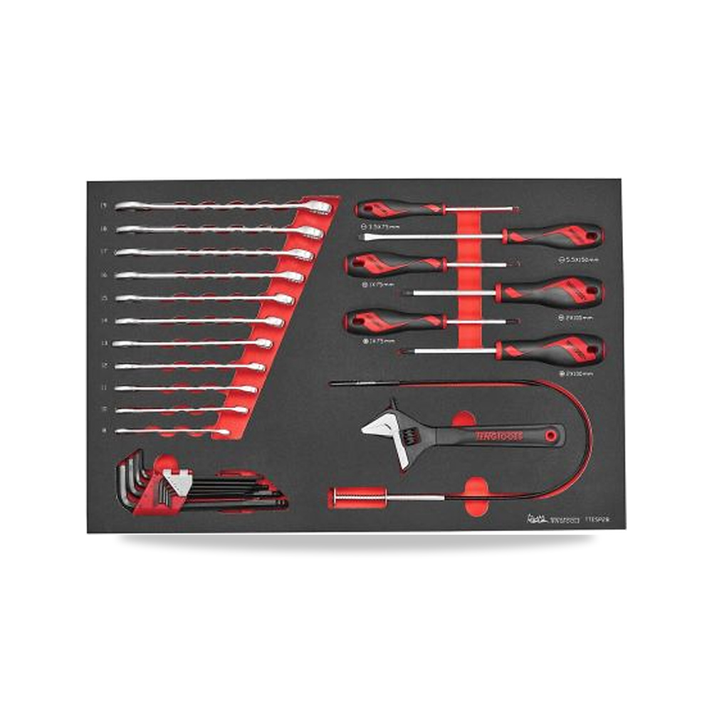 صورة منتج طقم وأداة عدة Teng Tools موديل TTESP28 - كود الصنف reemco-2027-0214537 - ماركة يباع من خلال reemco - توريد وتصوير حصري لشركة ريمكو القابضة السعودية