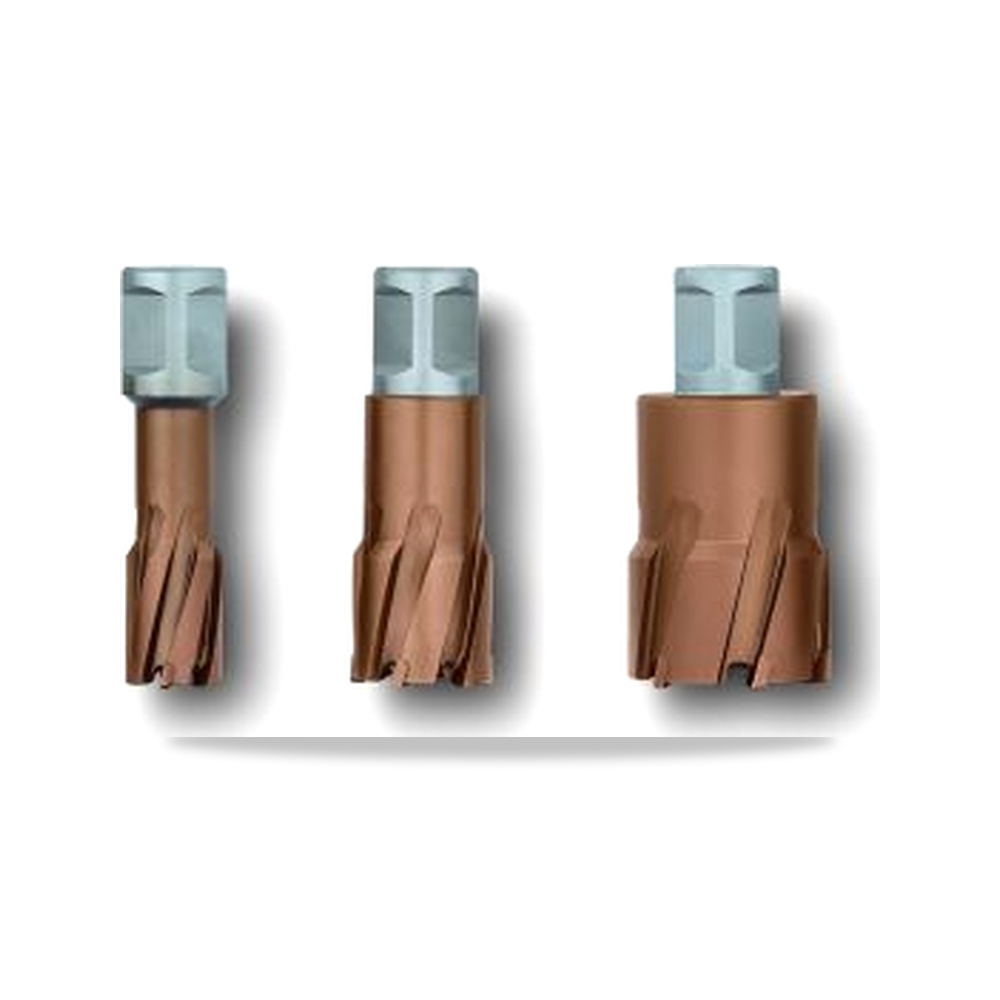 صورة منتج ريشة وبنطة ثقب مغناطيسي 30 مم 4 بوصة FEIN موديل 63127838016 – نوع الخامة Tungsten Carbide Tip - كود الصنف reemco-2027-0274872 - ماركة يباع من خلال reemco - توريد وتصوير حصري لشركة ريمكو القابضة السعودية