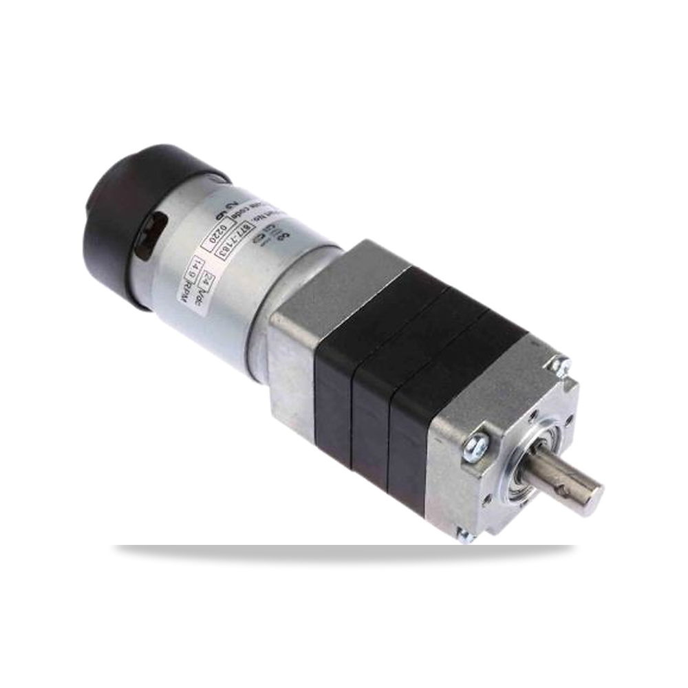 صورة منتج محرك كهربائي عمود دوران 24 فولت 26.4 واط 10 مم Micromotors موديل P205-24-244 - كود الصنف reemco-2027-0920623 - ماركة يباع من خلال reemco - توريد وتصوير حصري لشركة ريمكو القابضة السعودية