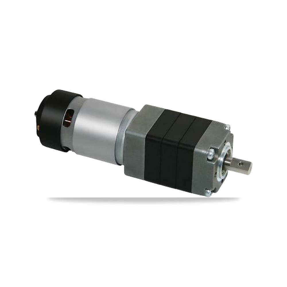 صورة منتج محرك كهربائي عمود دوران 24 فولت 42 واط 10 مم Micromotors موديل P205-24-100 – 24 فولت dc – 1.75 أمبير - كود الصنف reemco-2027-0924116 - ماركة يباع من خلال reemco - توريد وتصوير حصري لشركة ريمكو القابضة السعودية