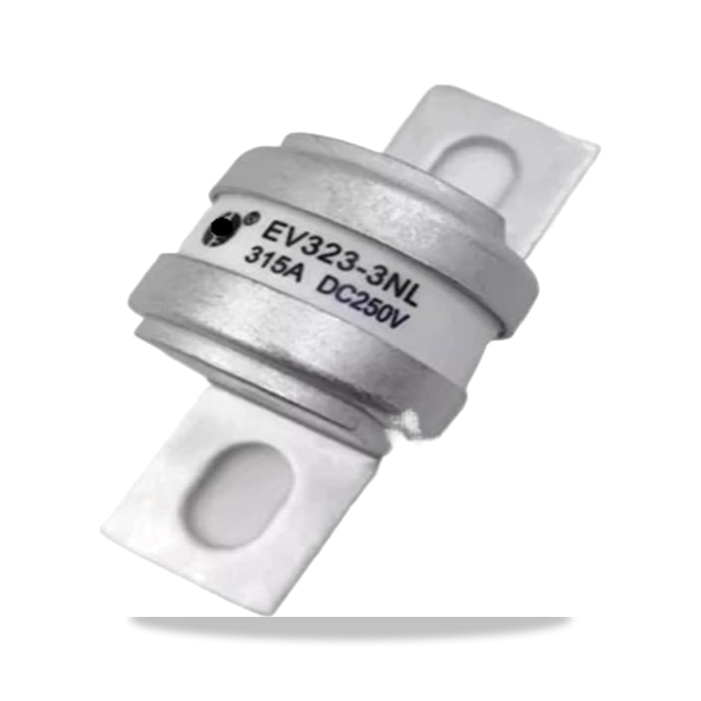 صورة منتج صمامات EV323-3NL315A250V EV323-3NL350A250V EV323-3NL400A250V EV323-3NL500A250V من سي بي كيه دي اكس سي واي - كود الصنف reemco-2027-1585016 - ماركة يباع من خلال reemco - توريد وتصوير حصري لشركة ريمكو القابضة السعودية