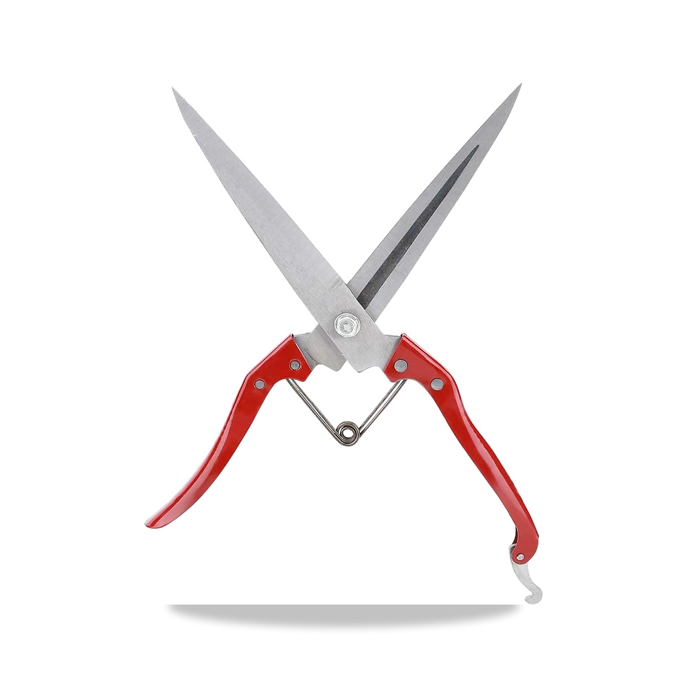 صورة منتج هزيير مقص يدوي من الستانلس ستيل، اداة قص اغنام يدوية لتشذيب الاغنام – المادة Alloy Steel, Stainless Steel – تقريبًا 30 سم / 11.8 انش - كود الصنف reemco-2027-1617193 - ماركة يباع من خلال reemco - توريد وتصوير حصري لشركة ريمكو القابضة السعودية