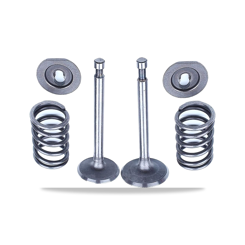 صورة منتج مجموعة زنبرك صمام السحب والعادم لجزازة العشب مناسبة لـ 11HP 13HP GX340 GX390 - كود الصنف reemco-2027-1633701 - ماركة يباع من خلال reemco - توريد وتصوير حصري لشركة ريمكو القابضة السعودية