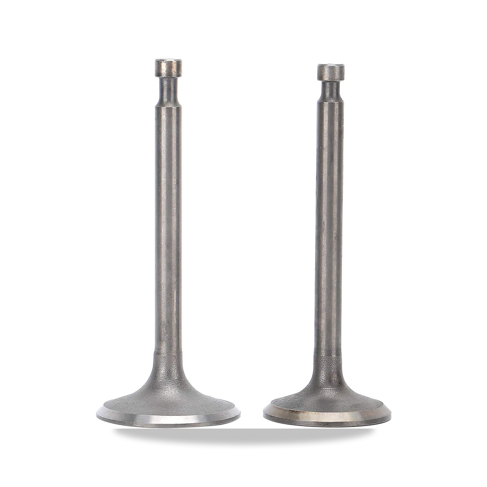 صورة منتج بونبيلا صمام سحب عادم المحرك للمولدات، قطع غيار يناسب مولد 188F GX390 – 11 x 7 x 4 سم – المادة حديد - كود الصنف reemco-2027-1634306 - ماركة يباع من خلال reemco - توريد وتصوير حصري لشركة ريمكو القابضة السعودية