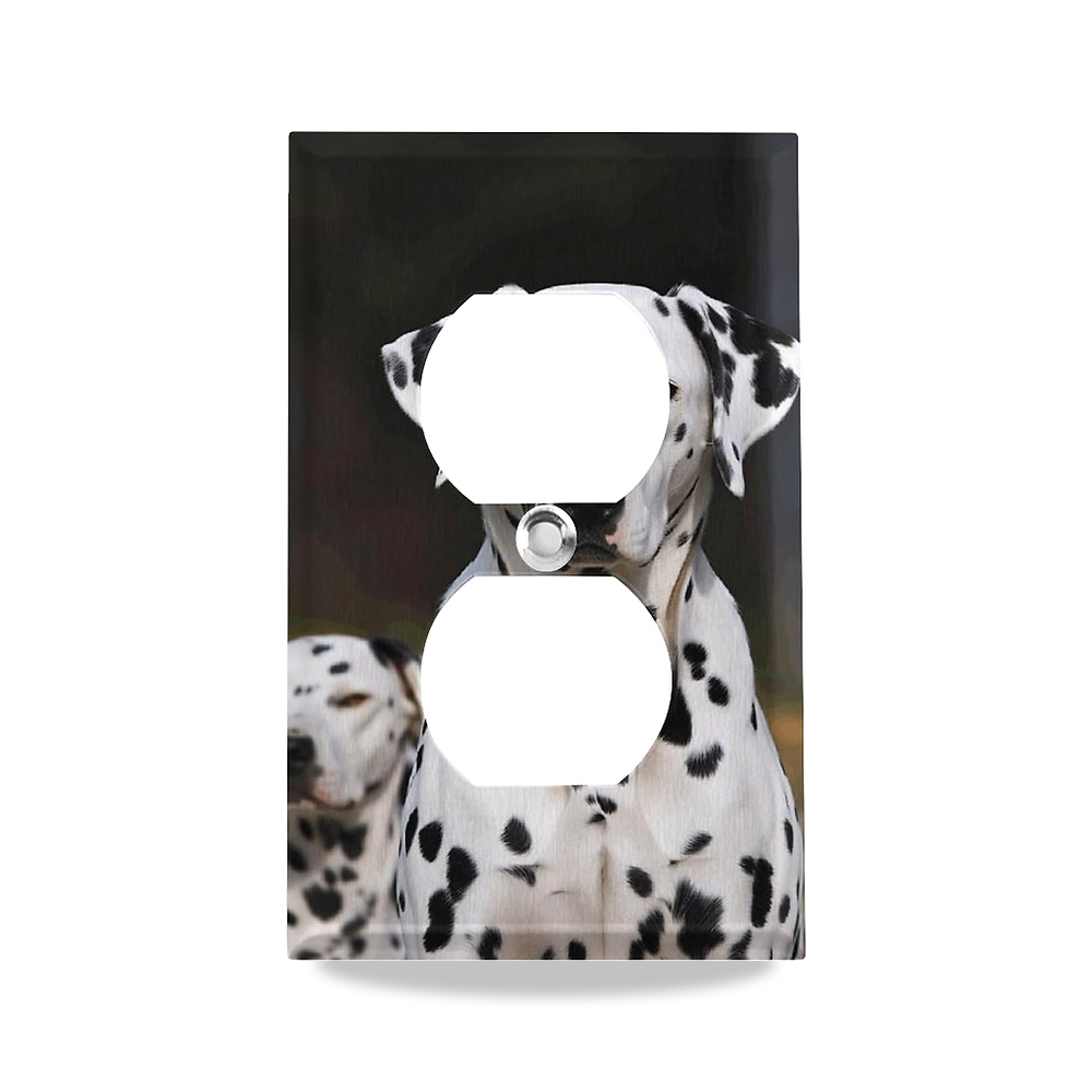 صورة منتج لوحة حائط للمنافذ الكهربائية، اغطية منافذ مزدوجة، غطاء مفتاح اضاءة بتصميم كلب مرقش، مزخرف بحجم معياري FZMTLDS - كود الصنف reemco-2027-1779325 - ماركة يباع من خلال reemco - توريد وتصوير حصري لشركة ريمكو القابضة السعودية