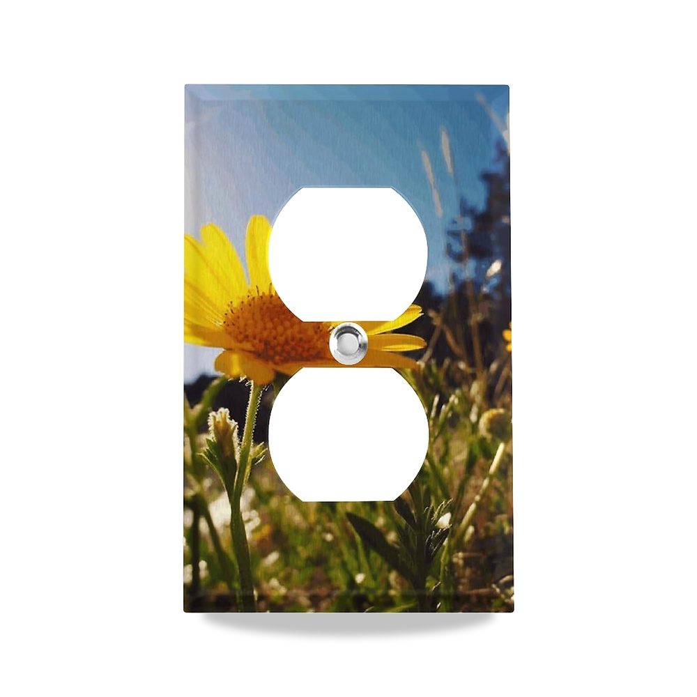 صورة منتج لوحة حائط للمنافذ الكهربائية، اغطية منافذ مزدوجة بتصميم زهرة صفراء تحت الشمس، غطاء مزخرفة بحجم قياسي FZMTLDS - كود الصنف reemco-2027-1779342 - ماركة يباع من خلال reemco - توريد وتصوير حصري لشركة ريمكو القابضة السعودية