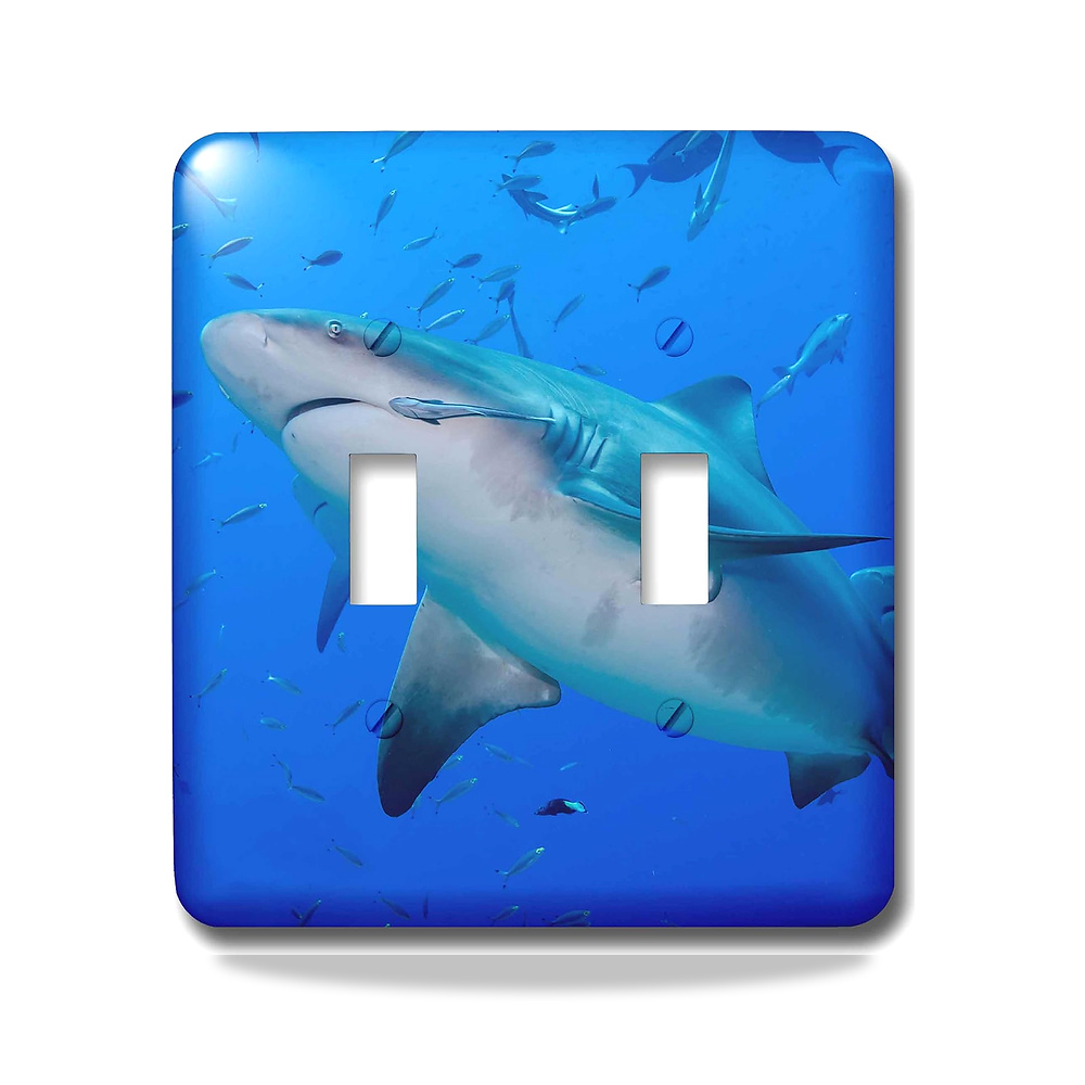 صورة منتج 3D روز lsp_278095_2 Fiji. مفتاح تبديل كلوس اب اوف بول شاركس، متعدد الالوان 3دي روز – المادة معدن – اللون ألوان متعددة - كود الصنف reemco-2027-1782050 - ماركة يباع من خلال reemco - توريد وتصوير حصري لشركة ريمكو القابضة السعودية