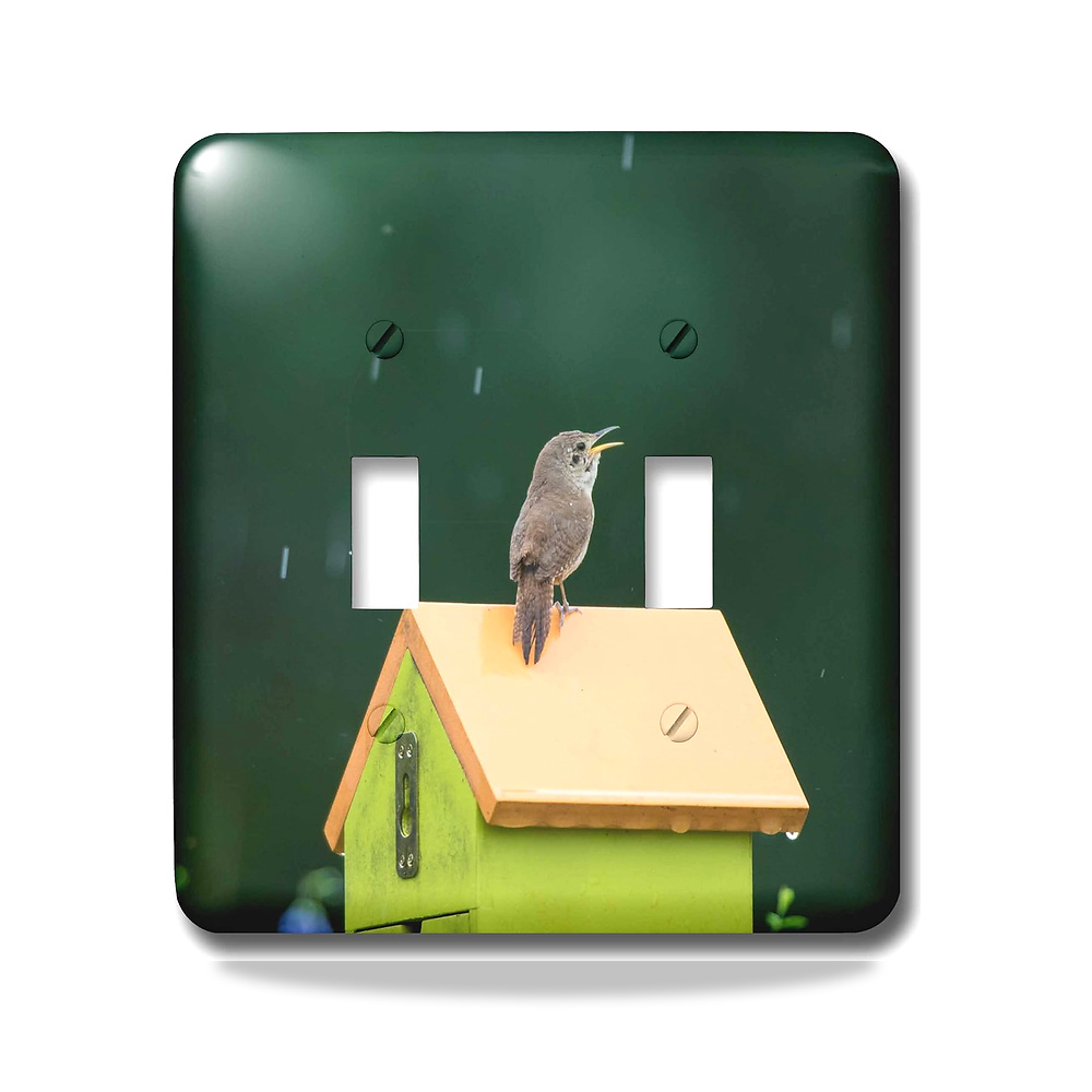 صورة منتج 3D روز lsp_279007_2 House Wren Male Singing in The Rain on Nest Box. شركة ماريون، إلينوي، مفتاح تبديل مختلط 3دي روز - كود الصنف reemco-2027-1782083 - ماركة يباع من خلال reemco - توريد وتصوير حصري لشركة ريمكو القابضة السعودية