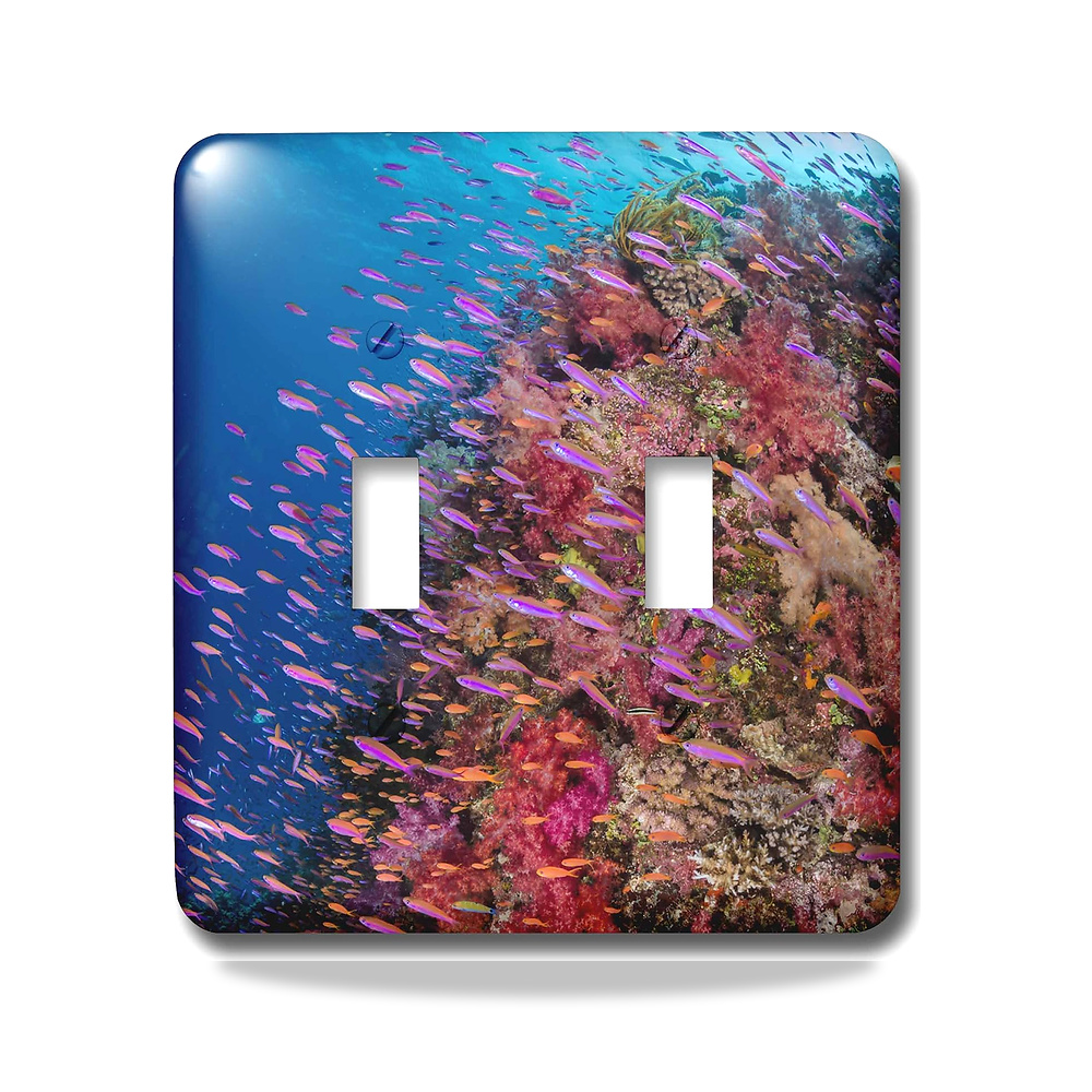 صورة منتج 3D روز lsp_278089_2 Fiji. Reef مع مفتاح انثياس المرجاني والملون بألوان زاهية 3دي روز – المادة معدن - كود الصنف reemco-2027-1782099 - ماركة يباع من خلال reemco - توريد وتصوير حصري لشركة ريمكو القابضة السعودية