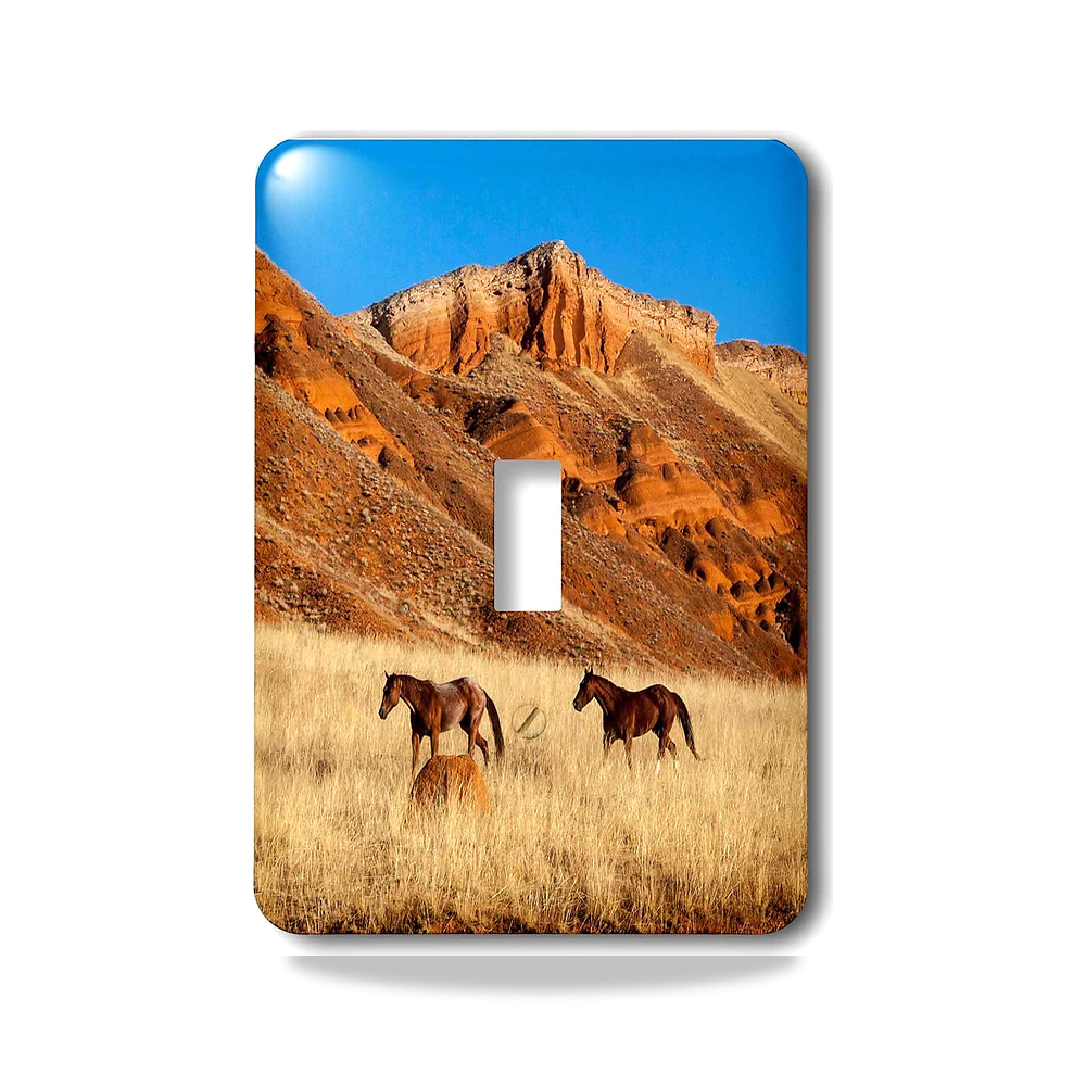 صورة منتج 3dRose lsp_279816_1 Wyoming، صدفة، أحصنة الجري، PR مفتاح تبديل 3دي روز – المادة معدن - كود الصنف reemco-2027-1782110 - ماركة يباع من خلال reemco - توريد وتصوير حصري لشركة ريمكو القابضة السعودية