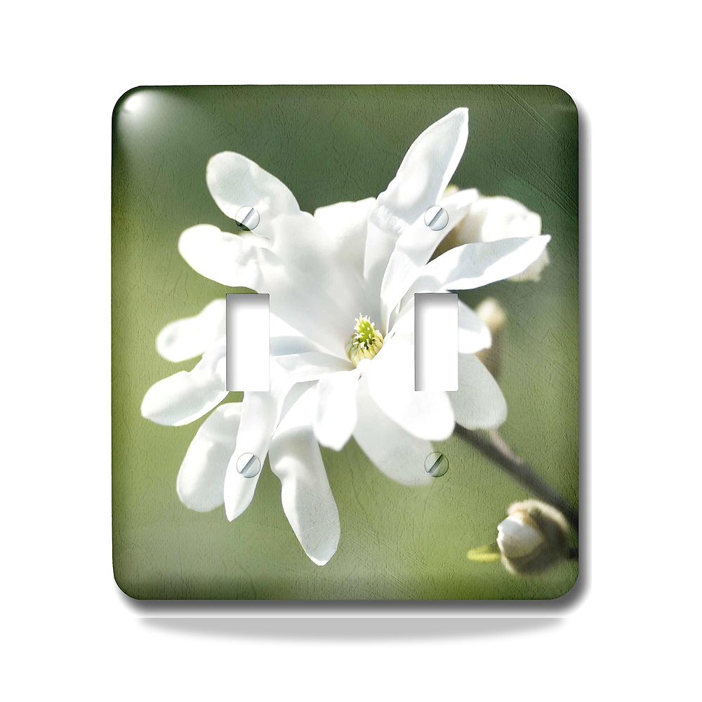 صورة منتج 3D روز مفتاح تبديل للصور بتصميم زهرة ماغنوليا بيضاء وخلفية خضراء من lsp_270422_2، متعدد الالوان 3دي روز - كود الصنف reemco-2027-1782327 - ماركة يباع من خلال reemco - توريد وتصوير حصري لشركة ريمكو القابضة السعودية