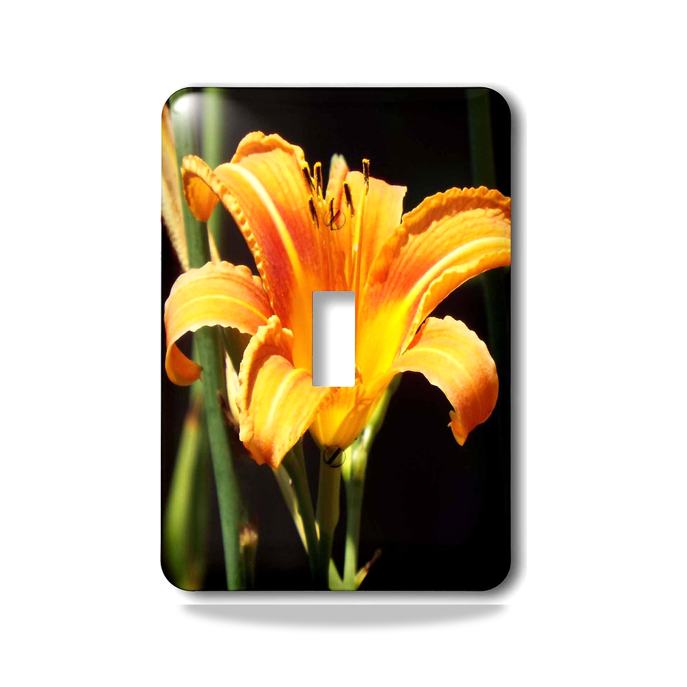 صورة منتج 3D روز مفتاح تبديل بتصميم زنبق النمر البرتقالي الجميل lsp_269423_1، متعدد الالوان 3دي روز - كود الصنف reemco-2027-1782335 - ماركة يباع من خلال reemco - توريد وتصوير حصري لشركة ريمكو القابضة السعودية