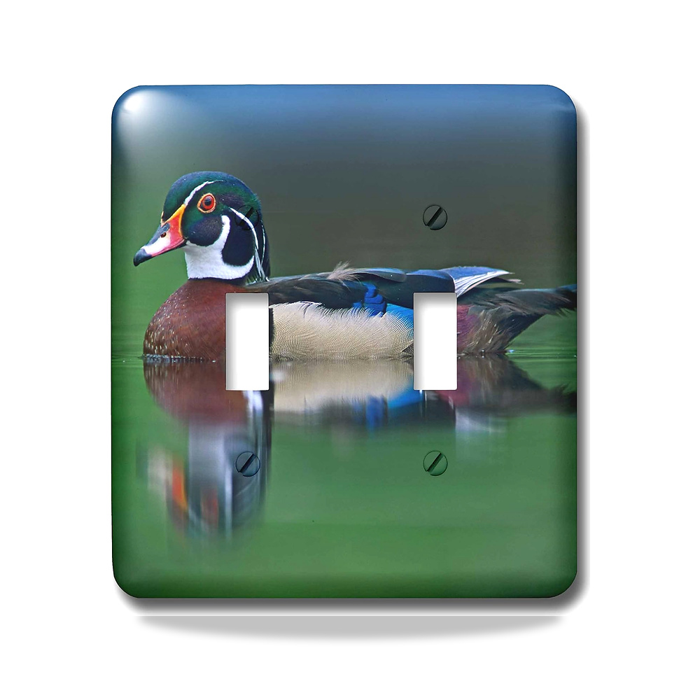 صورة منتج 3D روز مفتاح تبديل بتصميم بطة خشبية ذكر lsp_258088_2، ايكس سبونسا، للسباحة، كندا، مختلط 3دي روز - كود الصنف reemco-2027-1782574 - ماركة يباع من خلال reemco - توريد وتصوير حصري لشركة ريمكو القابضة السعودية