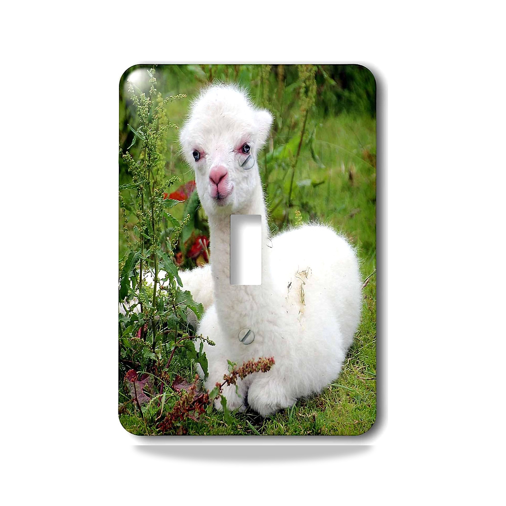 صورة منتج 3D روز lsp_253834_1 Young Alpaca. Lama. South America. مفتاح تبديل أبيض - كود الصنف reemco-2027-1782746 - ماركة يباع من خلال reemco - توريد وتصوير حصري لشركة ريمكو القابضة السعودية