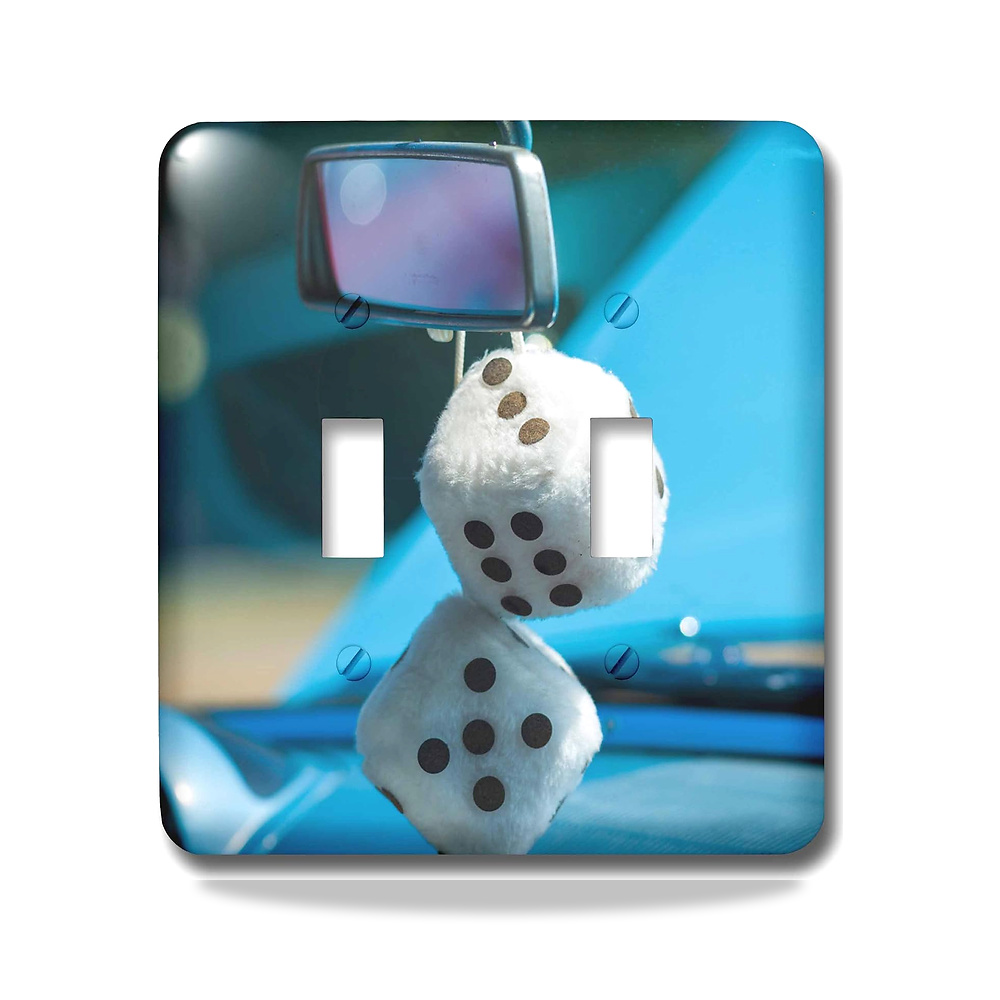 صورة منتج 3D روز lsp_251146_2 ماساتشوستس، جلوستر، معرض السيارات العتيقة، مفتاح تبديل النرد الزغبي في الخمسينيات 3دي روز - كود الصنف reemco-2027-1782829 - ماركة يباع من خلال reemco - توريد وتصوير حصري لشركة ريمكو القابضة السعودية