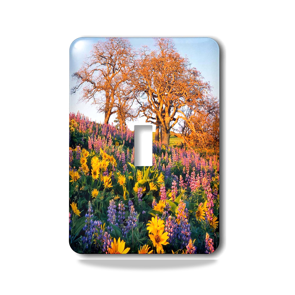 صورة منتج 3D روز مفتاح تبديل lsp_251506_1 ولاية واشنطن، بلسامروت، لوبين، اوكس اون هيلسايد، مختلط 3دي روز - كود الصنف reemco-2027-1782845 - ماركة يباع من خلال reemco - توريد وتصوير حصري لشركة ريمكو القابضة السعودية
