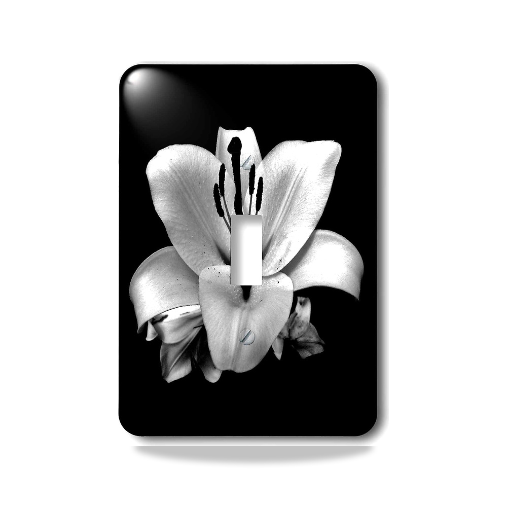 صورة منتج 3D روز مفتاح تبديل زهرة سوداء بيضاء جميلة lsp_253517_1 3دي روز - كود الصنف reemco-2027-1782882 - ماركة يباع من خلال reemco - توريد وتصوير حصري لشركة ريمكو القابضة السعودية