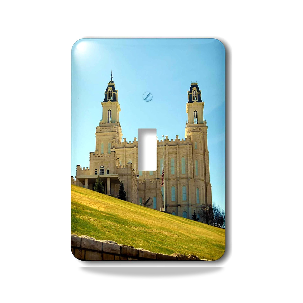 صورة منتج 3D روز lsp_245462_1 معبد مانتي لكنيسة LDS يجلس بشكل جميل على مفتاح تبديل التل 3دي روز – المادة معدن - كود الصنف reemco-2027-1782991 - ماركة يباع من خلال reemco - توريد وتصوير حصري لشركة ريمكو القابضة السعودية