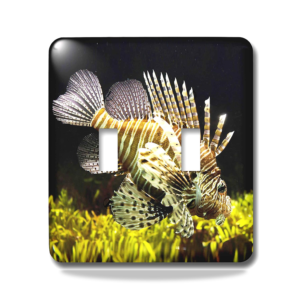 صورة منتج 3D روز lsp_232815_2 Lionfish. خطوط الحمار الوحشي البني والأبيض. مفتاح تبديل أسماك المحيط الأطلسي، متعدد - كود الصنف reemco-2027-1783158 - ماركة يباع من خلال reemco - توريد وتصوير حصري لشركة ريمكو القابضة السعودية