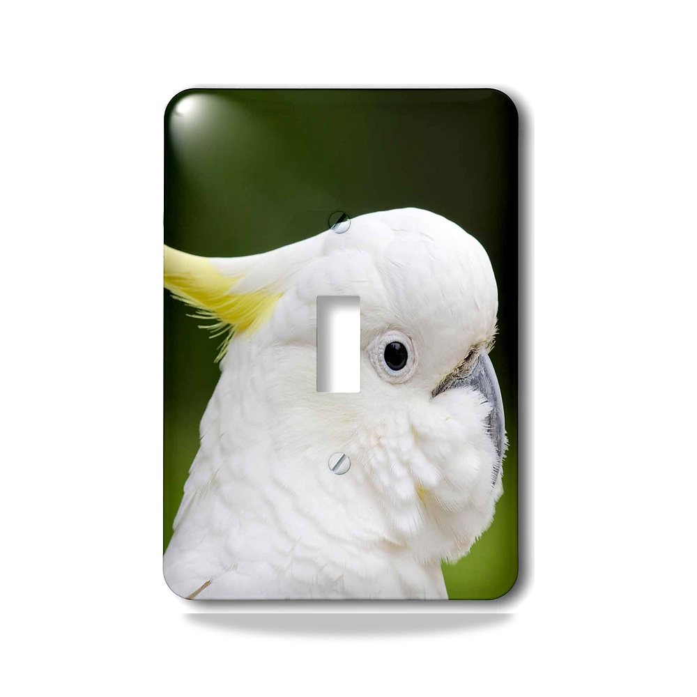 صورة منتج 3D روز lsp_226174_1 استراليا، داندينونج ان بي، جرانتس ريزيرف. مفتاح تبديل كوكاتو مطلي بالكبريت 3دي روز - كود الصنف reemco-2027-1783222 - ماركة يباع من خلال reemco - توريد وتصوير حصري لشركة ريمكو القابضة السعودية