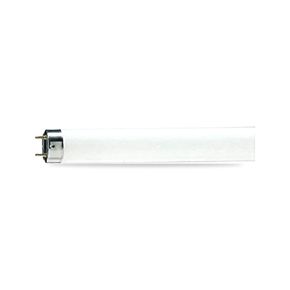 صورة منتج Philips TL D Standard 18 واط – اللون الفاتح أبيض دافئ, ضوء نهاري رائع – درجة اللون 6200 كلفن - كود الصنف reemco-2027-1802667 - ماركة يباع من خلال reemco - توريد وتصوير حصري لشركة ريمكو القابضة السعودية
