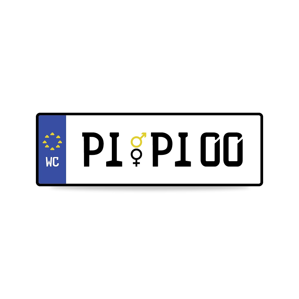 صورة منتج لوحة ارقام بطبعة كلمة “PiPi” للجنسين من زيروس Zeroos – المادة رغوة – 29,5الطول x 10العرض سم - كود الصنف reemco-2027-1815992 - ماركة يباع من خلال reemco - توريد وتصوير حصري لشركة ريمكو القابضة السعودية