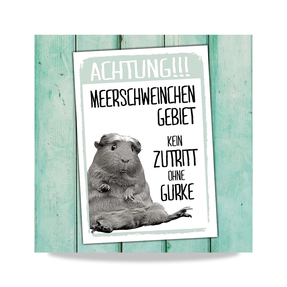 صورة منتج Siviwonder Guinea Pig No Access Cucumber لافتة مضحكة بعبارة “Door Sign” تحذير معدنية مرحة - كود الصنف reemco-2027-1816374 - ماركة يباع من خلال reemco - توريد وتصوير حصري لشركة ريمكو القابضة السعودية