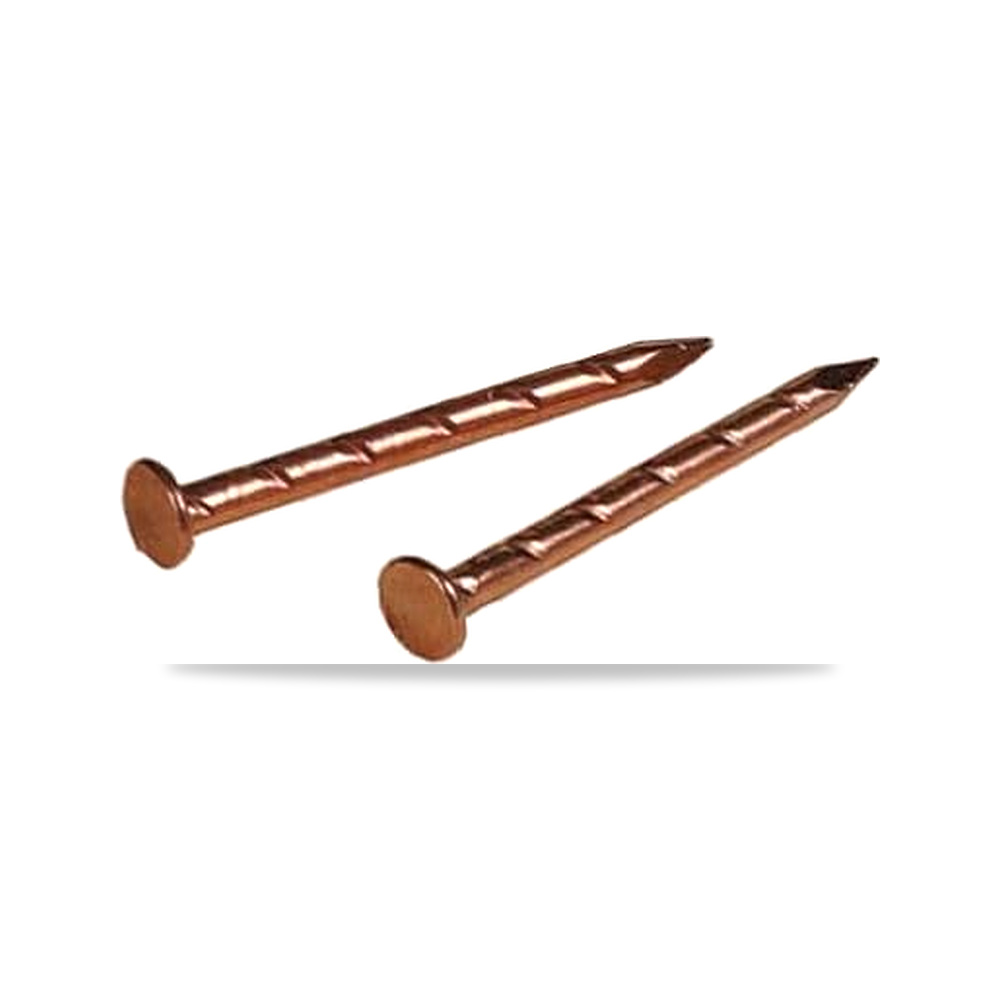 صورة منتج طلاء أظافر Weatherstrip من Hillman مقاس 1.9 سم برأس مسطح وإبرة من النحاس مطلي 17 جرام هيلمان - كود الصنف reemco-2027-1829686 - ماركة يباع من خلال reemco - توريد وتصوير حصري لشركة ريمكو القابضة السعودية