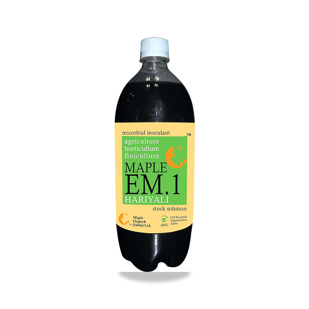 صورة منتج مابل EM.1 هاريالي (1 لتر، اسود، متوسط)، سائل Maple EM.1 - كود الصنف reemco-2027-1859042 - ماركة يباع من خلال reemco - توريد وتصوير حصري لشركة ريمكو القابضة السعودية