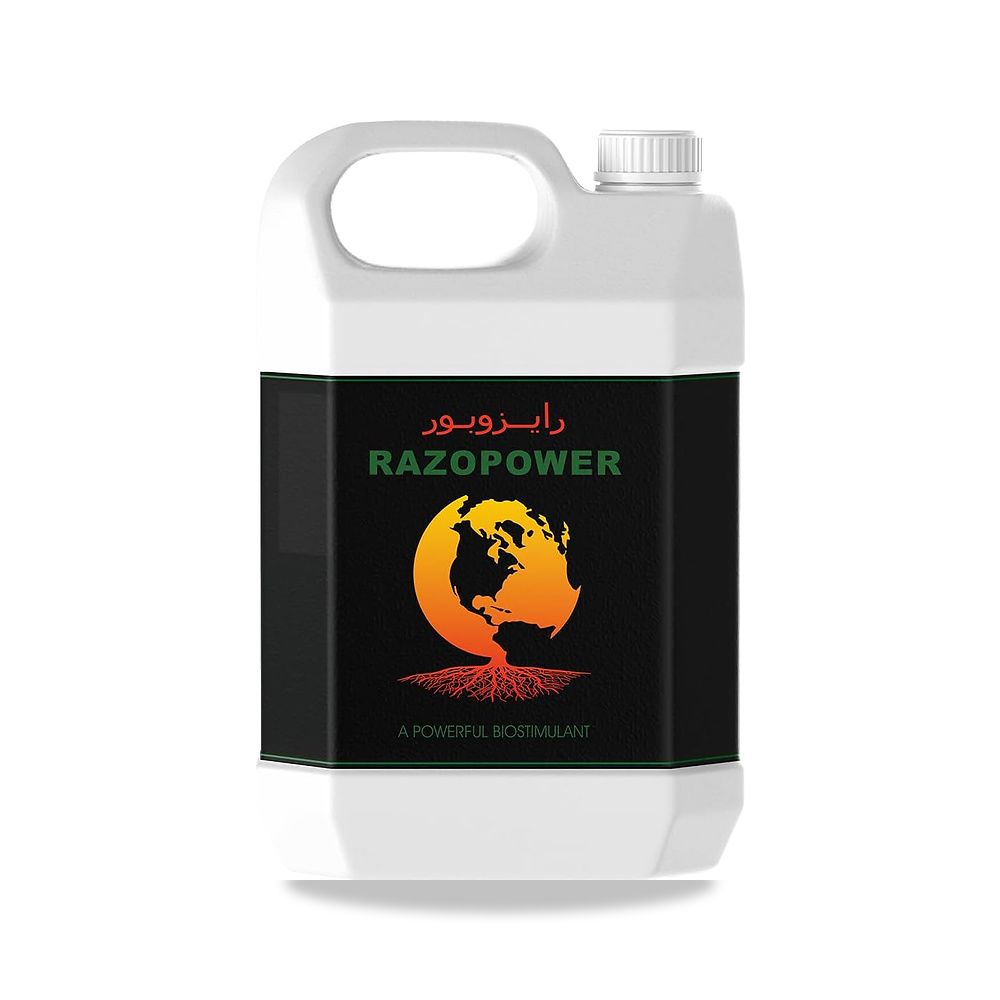 صورة منتج مجمع الأحماض الأمينية والعناصر الكبيرة من رايزوبور الطالب، 5 لتر RAIZO POWER - كود الصنف reemco-2027-1859103 - ماركة يباع من خلال reemco - توريد وتصوير حصري لشركة ريمكو القابضة السعودية