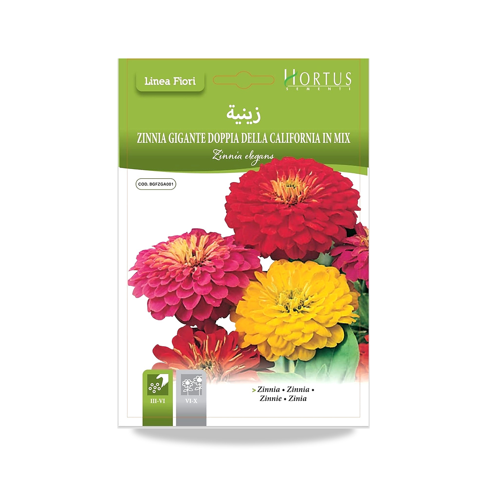 صورة منتج بذور زهرة الزينية – التعرض لأشعة الشمس شمس كاملة - كود الصنف reemco-2027-1859387 - ماركة يباع من خلال reemco - توريد وتصوير حصري لشركة ريمكو القابضة السعودية