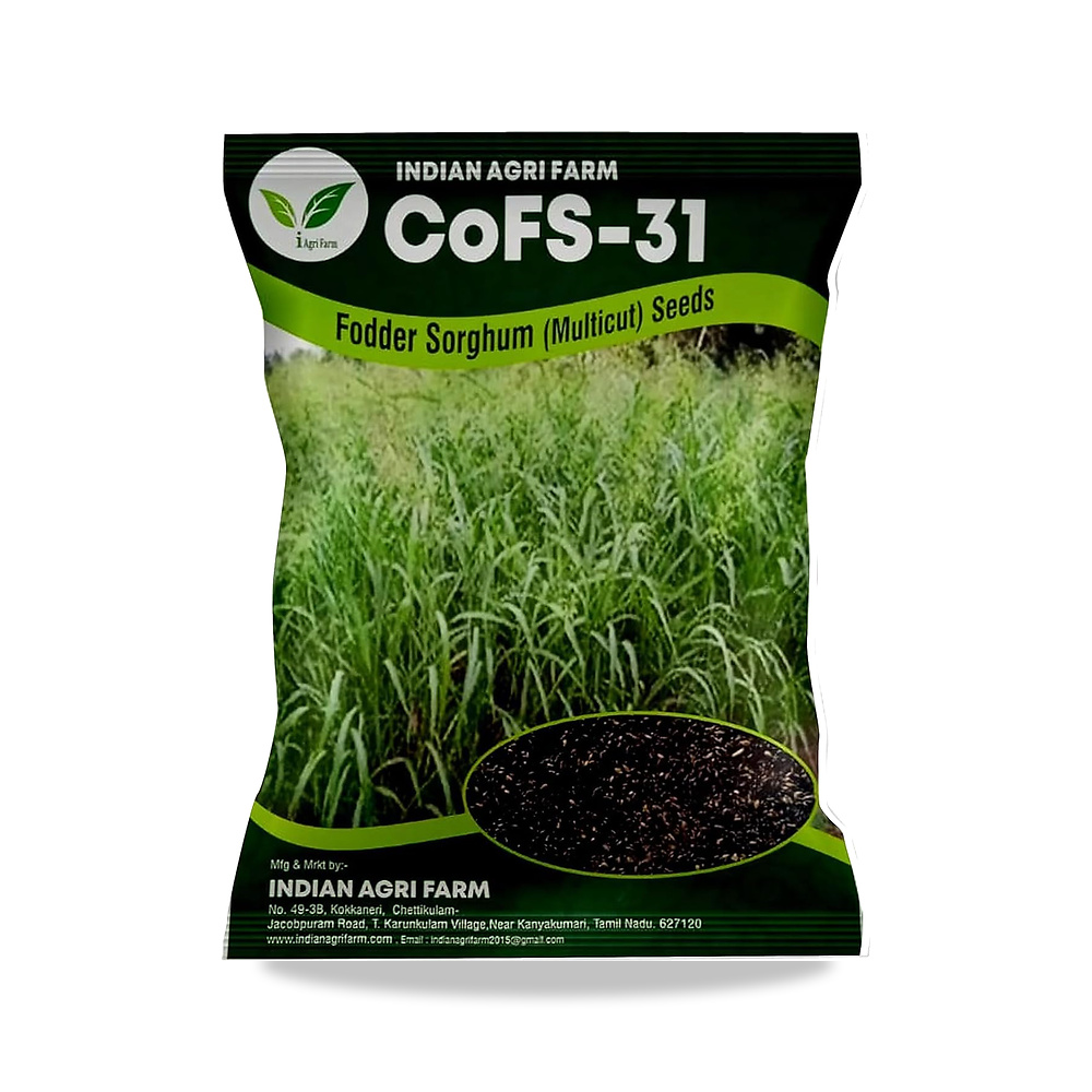 صورة منتج بذور الذرة الرفيعة COFS31 / COFS-31 من ايجريفارم – 500 جم- متعددة القطع لزراعة العلف IAgriFarm - كود الصنف reemco-2027-1862217 - ماركة يباع من خلال reemco - توريد وتصوير حصري لشركة ريمكو القابضة السعودية