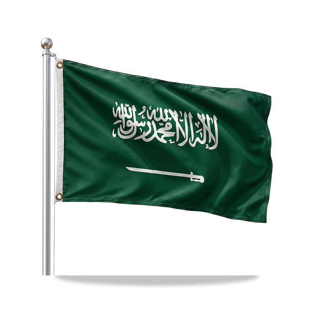 صورة منتج علم المملكة العربية السعودية 3X5 قدم 100٪ بوليستر 100D علم مقاوم للاشعة فوق البنفسجية من دي ام اس - كود الصنف reemco-2027-1862283 - ماركة يباع من خلال reemco - توريد وتصوير حصري لشركة ريمكو القابضة السعودية