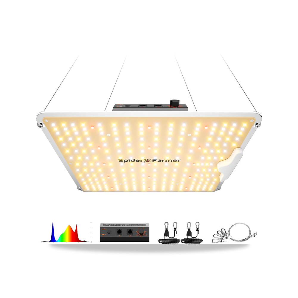 صورة منتج سبايدر فارمر مصباح نباتات LED SF1000 كامل الطيف مع صمامات ثنائية سامسونج LM301H ايفو قابلة للتعتيم للنباتات - كود الصنف reemco-2027-1862569 - ماركة يباع من خلال reemco - توريد وتصوير حصري لشركة ريمكو القابضة السعودية