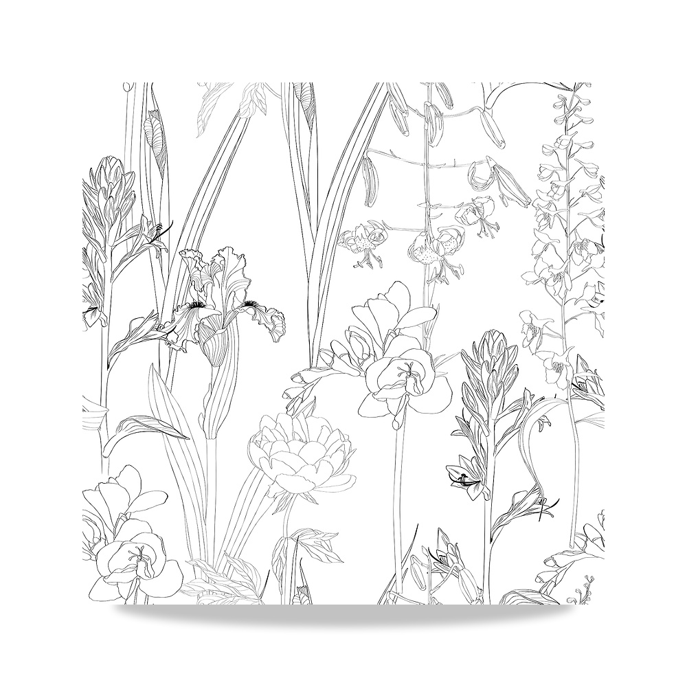 صورة منتج Botanical Peel and Stick Wallpaper ورق جدران أبيض ورق تلامس هوت ديكور – المادة فينيل – اللون أبيض وأسود - كود الصنف reemco-2027-1925506 - ماركة يباع من خلال reemco - توريد وتصوير حصري لشركة ريمكو القابضة السعودية