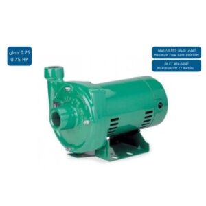 مضخة مياه أمريكية من مايرز بقوة 0.75 حصان