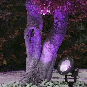 كشاف حديقة بغرس قابل للتوجيه، 10 واط، إضاءة بنفسجية