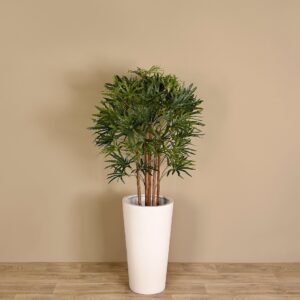 أراليا صناعية بارتفاع 100 سم