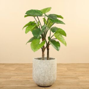 شجرة ألوكاسيا اصطناعية بارتفاع 100 سم