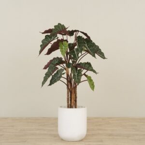 شجرة ألوكاسيا اصطناعية ارتفاع 100 سم
