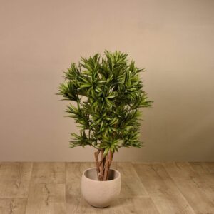 شجرة دراسينا صناعية بارتفاع 120 سم (تصميم هندي)