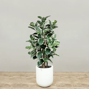 شجرة صناعية من المطاط بارتفاع 120 سم