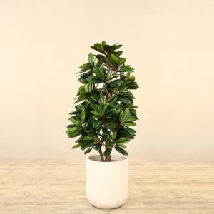 شجرة شيفليرا صناعية بارتفاع 120 سم