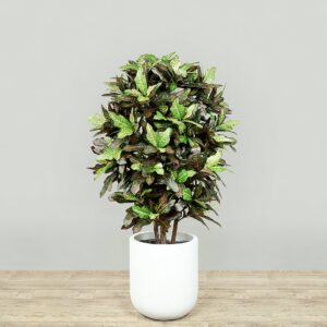 نبات كروتون اصطناعي بارتفاع 120 سم