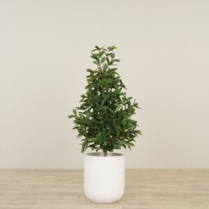 شجرة غار اصطناعية بارتفاع 120 سم