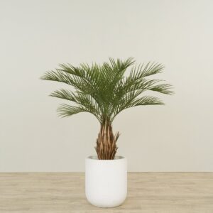 نخلة اصطناعية بارتفاع 120 سم