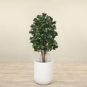 شجرة فيكوس باندا اصطناعية بارتفاع 120 سم